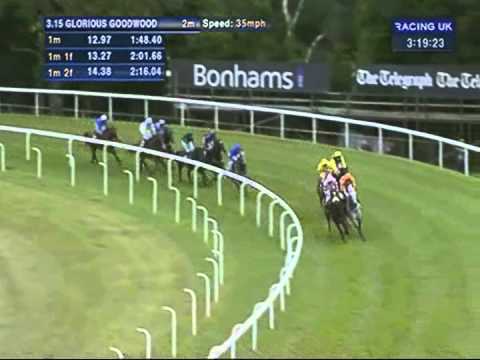 2012 Artemis Goodwood Cup - Saddler's Rock