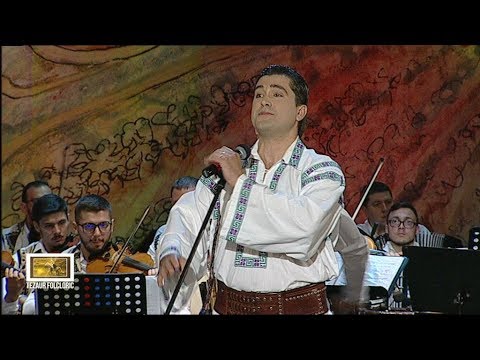 Gelu Voicu - Pusei caii la căruţă (@Tezaur focloric)