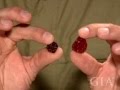 Rough and Cut Spinel With Edward Boehm by GIA