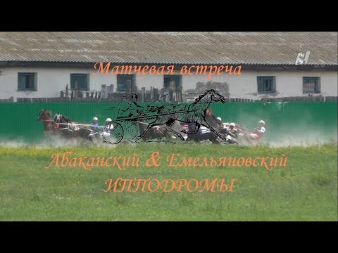 Матчевая встреча Абакан-Емельяново. 29.07.2017 - Заезд - Лошади 4-х лет призовых пород, 2400 м.