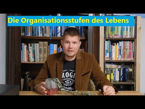 The organizational levels of life. From cell to organism. Cell, tissue, organ, organ system.