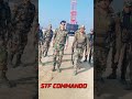 Bihar Police STF COMMANDO Special Task Force Biharpolice Specialtaskforce