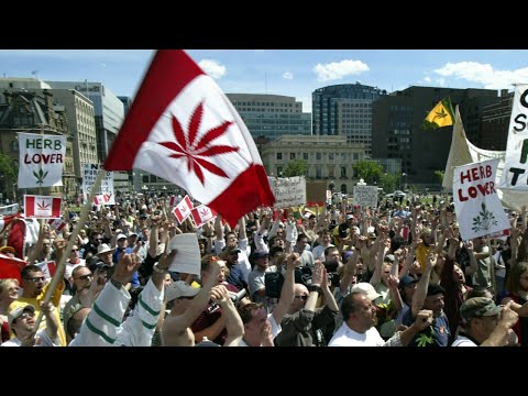 先進国で初！カナダがマリファナ（大麻）を合法化