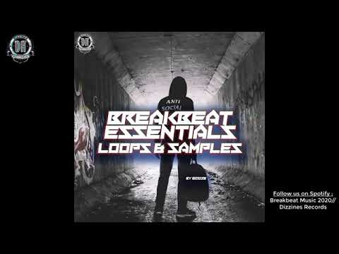 BREAKBEAT ESSENTIALS LOOPS & SAMPLES VOL 2 by Gosize [Dizzines Records]