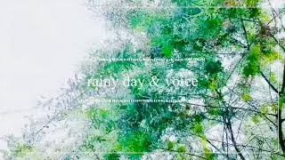 Rainy day & voice 〜雨の日のミモザの葉っぱたちのうた〜コヤマナオコ