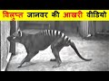 7 विलुप्त हो चुके जानवरों के दुर्लभ वी�