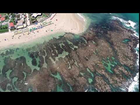 Aerial view of Porto de Galinhas beaches, Pernambuco, Brazil