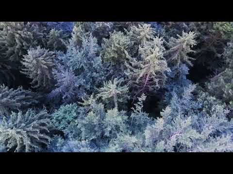 U1450325 DWD München Radiosonde/Wettersonde