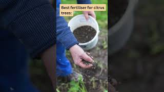 Download lagu Pupuk Terbaik untuk Pohon Jeruk [TERJAWAB] mp3