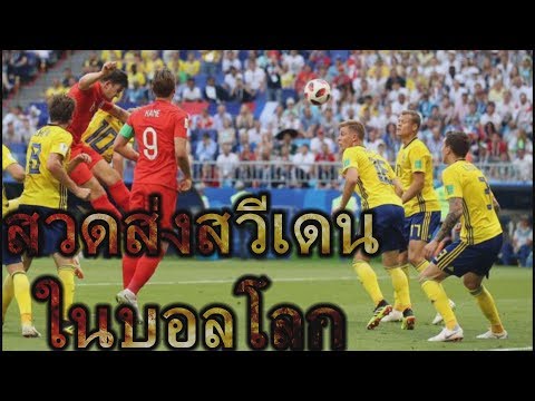 วิธีการที่จะกระตุ้นผู้หญิงดูหนังออนไลน์ ซื้อเชื้อโรคม้าออนไลน์