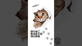 【のらねこRADIO切り抜き】海馬社長を熱く語る男 #shorts