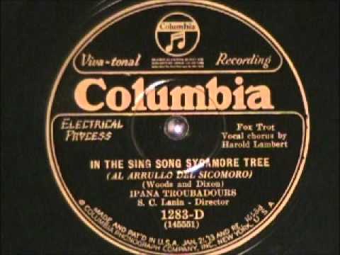 IN THE SING SONG SYCAMORE TREE by the Ipana Troubadours 1928