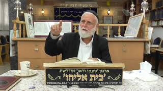S1240002 פנחס