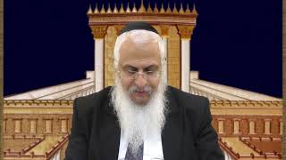 מסכת ביצה פרק א (הרב יורם סרי) - התמונה מוצגת ישירות מתוך אתר האינטרנט יוטיוב. זכויות היוצרים בתמונה שייכות ליוצרה. קישור קרדיט למקור התוכן נמצא בתוך דף הסרטון