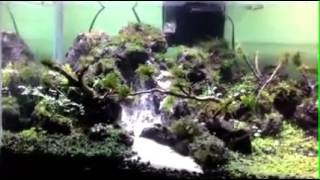 Waterfall aquascape