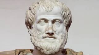 Lecture 1 Part 1   What is law