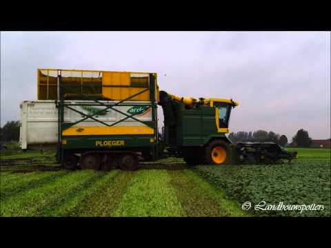 Ploeger MKC 2TR spinaziemaaien 2013 - Vandemaele uit Lendelede