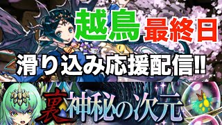 【生配信】越鳥最終日!!応援配信!!