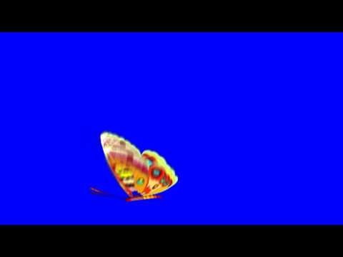 Футаж Бабочка хромакей 2