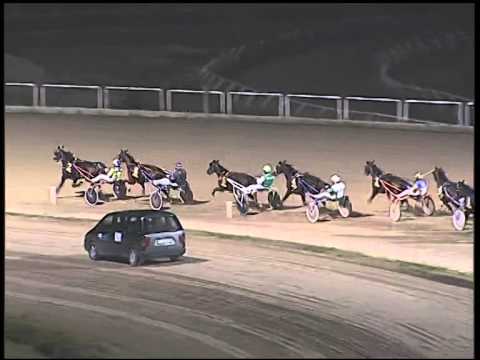 Trotto 06/01/2015 - 8° corsa