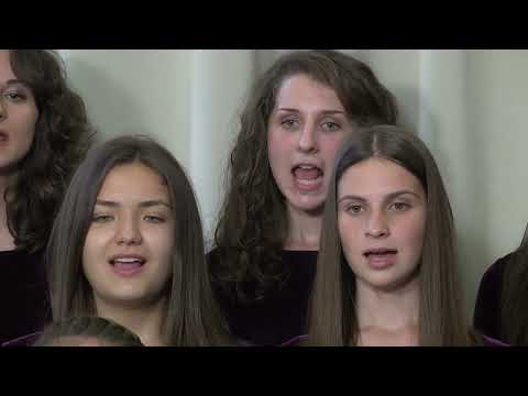 Dynamis: Lumea noastra, Bellu -  iun.2017