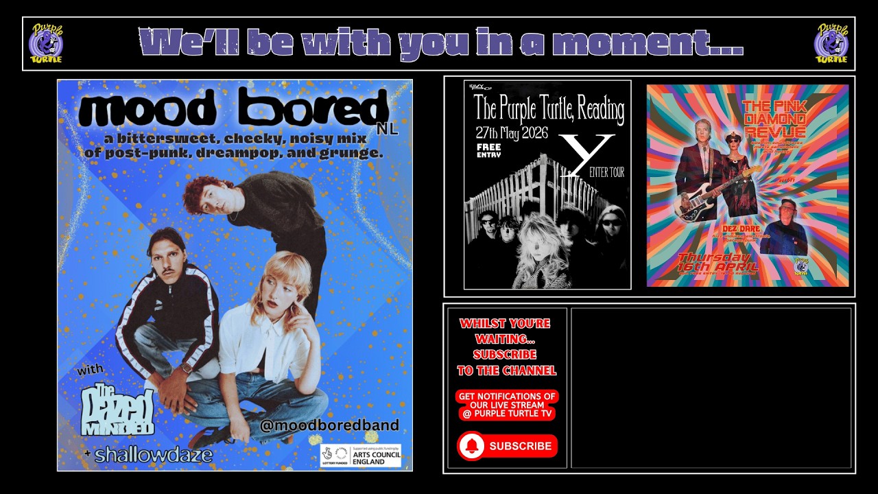 Live from the Purple Turtle - Mood Bored, The Dazed Minded, Shallowdaze