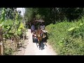 My tho tourist mekong delta