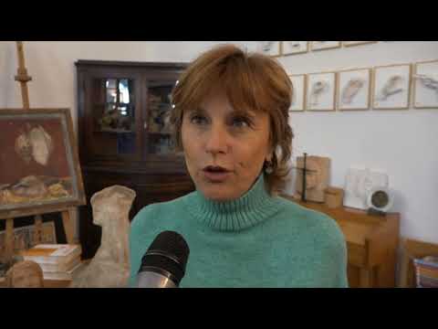 Il liceo Petrocchi e il problema aule