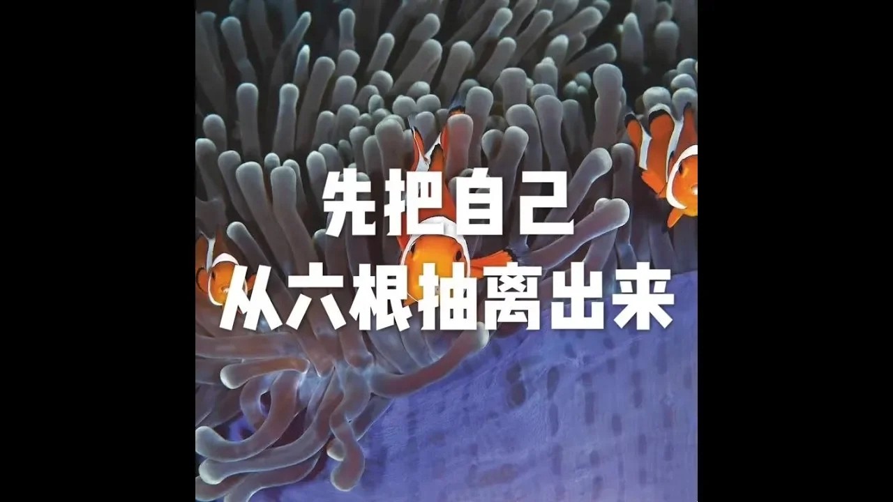 201709 先把自己从六根抽离出来23551