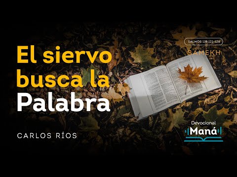 Devocional │ El Siervo Busca la Palabra