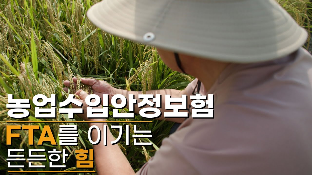 농업수입안정보험 FTA를 이기는 든든한 힘 / 머니투데이방송