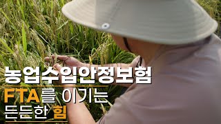 농업수입안정보험 FTA를 이기는 든든한 힘 / 머니투데이방송