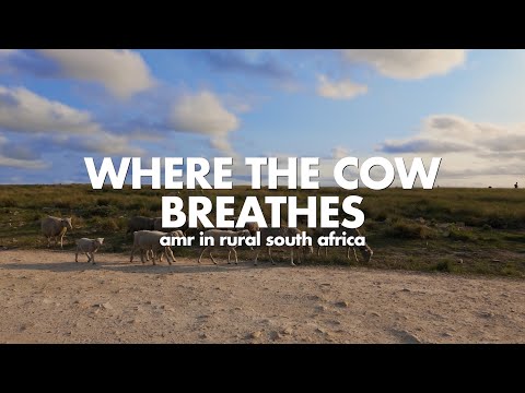 Where the Cow Breathes - Antimicrobial Resistance in Rural South Africa