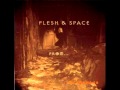Flesh&Space - Silent Night (Radio Edit) 