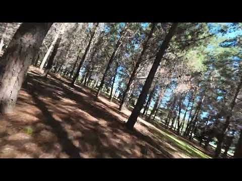 HDR 4K 8K DJI AVATA2  Bosque municipalidad El Tabo, Las cruces, Valparaíso... Lugares hermosos Chile