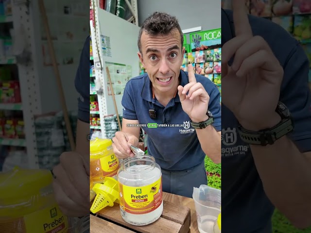 Vídeo relacionado con Noaxylic 4 Piezas Avispas Eliminar Exterior, Nidos de Avispas Artificiales, Trampas Avispa Exterior, Nido de Avispa, Avispones Colgantes para La Casa y el Jardín al Aire Libre Piscina