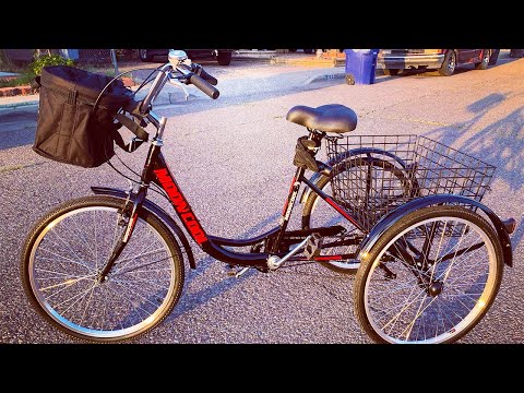 Top 5 Best Adult Tricycles
