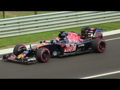 F1 2016 Hungary Free Practice  Pure Sound