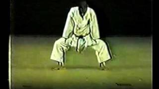 Seikichi Toguchi Sensei 10th Dan Goju Ryu