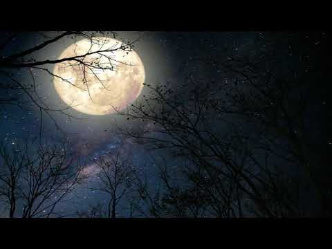 Żary TwK - Pod Osłoną Nocy