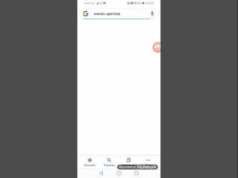 В памет на Милен Цветков