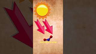 How Does Smog Form? The Surprising Science Behind Air Pollution #shorts #smog