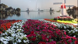 Holambra � Campinas - Divers�o e Ar...