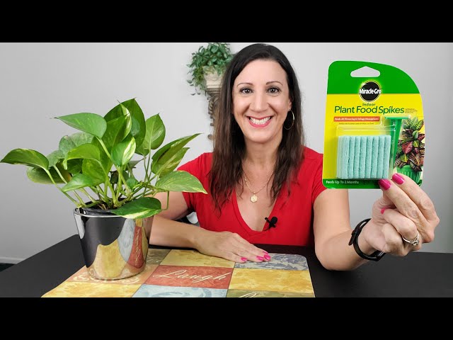 مسامير تغذية نباتية داخلية Miracle-Gro® 24