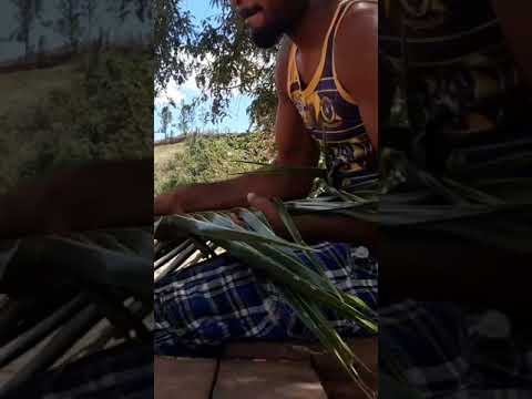 Making Fan from coconut leaves