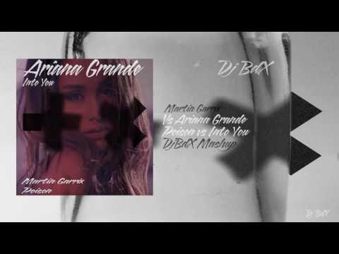 Martin Garrix vs Ariana Grande - Poison vs Into You (DjBdX Mash Up)