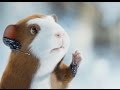 G Force Telugu Funny Bit BRAINIAC