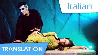 Notre Dame de Paris | Tu vas me détruire (Italian) Lyrics &amp; Translation