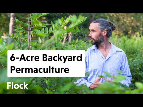 He Turned His Parent's 6-ACRE BACKYARD Into a PERMACULTURE Paradise — Ep. 050