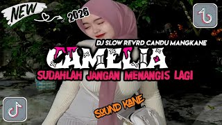 Download lagu DJ SUDAHLAH JANGAN MENANGIS LAGI SLOWED   REVERD • DJ CAMELIA LUPAKAN LAH AKU • VIRAL TERBARU 2026 mp3